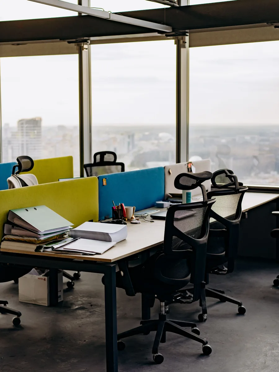 Open-plan IT office with desks by the windows